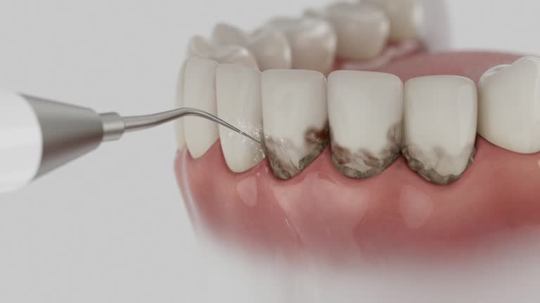 Reliable Dental contractor in Lincoln Park, NY by Dentist Open Now